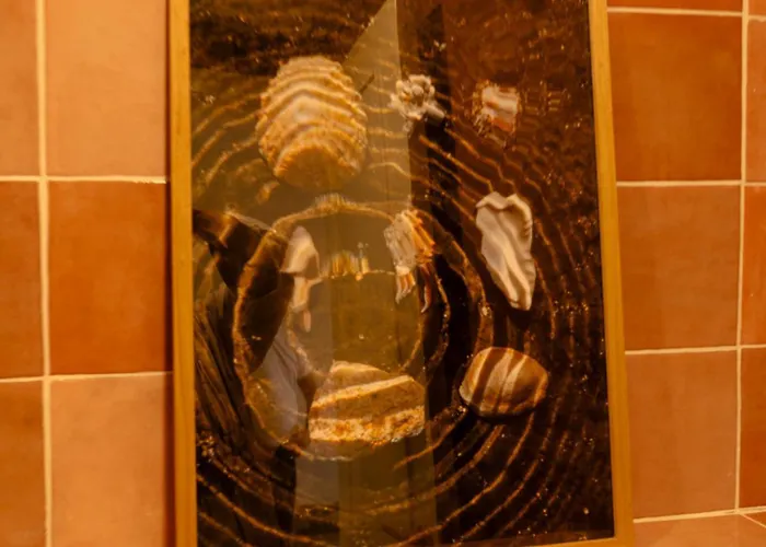 Apartment Casa Mejillon,